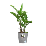 greensense aqua care rund 30cm light beton